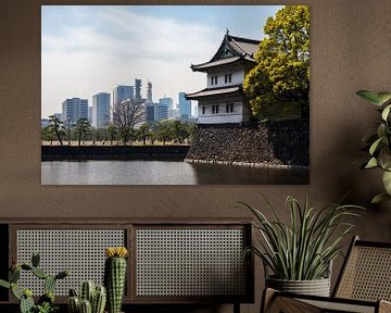 Imperial Palace Tokyo by Luis Emilio Villegas Amador