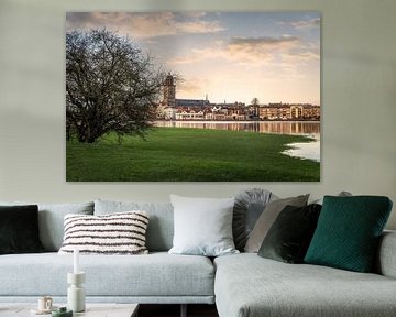 Natural Perspective: Deventer Seen from the river IJssel by Bart Ros