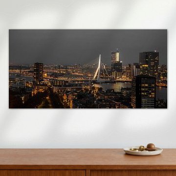 Rotterdam Erasmusbrug