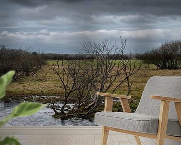 Waterrijke gebieden van Orangefield-images