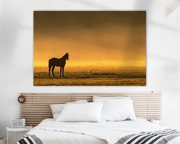 Paard in de mist tijdens zonsopkomst