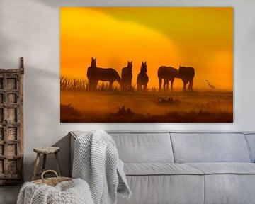 Paarden in de mist tijdens zonsopkomst van Alex van den Akker
