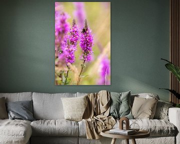 Jardin d'été en fleurs sur Reinier Holster