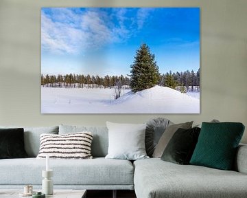 Landschaft mit Schnee und Bäumen im Winter in Kuusamo, Finnland von Rico Ködder