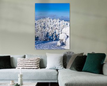 Landschaft mit Schnee und Bäumen im Winter in Ruka, Finnland