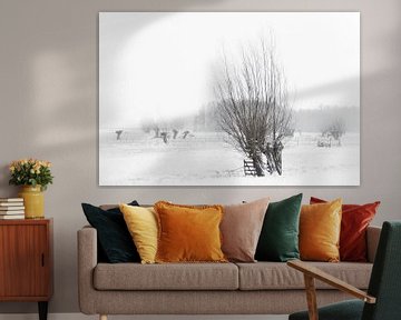 pollard willows & snow by Yvonne Blokland