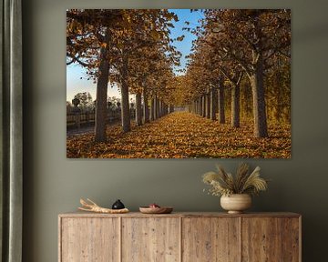 Kasteel Seehof in de herfst van Luis Emilio Villegas Amador