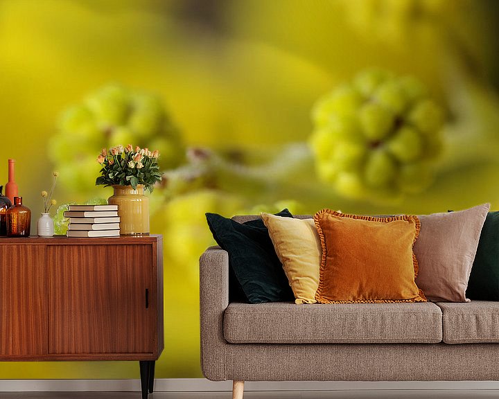 Sfeerimpressie behang: Mimosa, macrofotografie van Watze D. de Haan