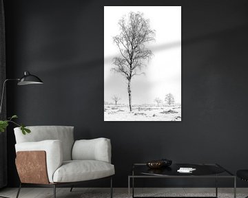 Winter bomen van Richard Guijt Photography