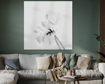 Fleur en mouvement avec de douces nuances de gris sur Imaginative