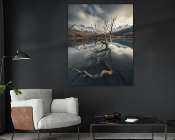Tree in the lake