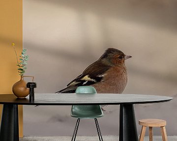 Bird in the snow by Ilona Hogers