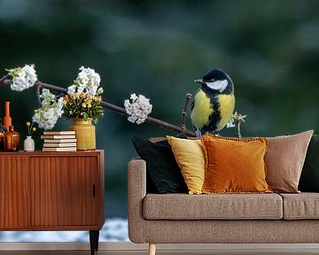 Great tit on blossom branch by Ilona Hogers