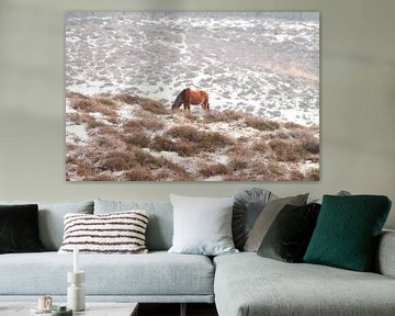 Paard in een winters landschap van Jurjen Jan Snikkenburg