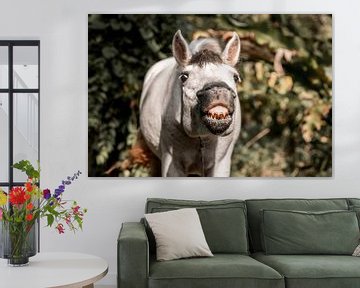 Speelse Geest - Een Moment van Paardenplezier - lachen - tanden - paard van Femke Ketelaar