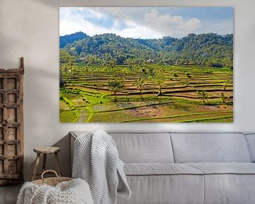 Luchtfoto van rijstvelden op Bali in Indonesie van Eye on You