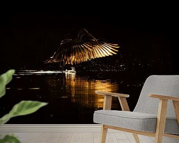 Golden Wings at Dusk | white ibis | bird | fine art by Femke Ketelaar