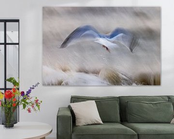 Abstract seagull by Linda Raaphorst