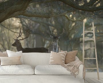 Damherten in natuurgebied