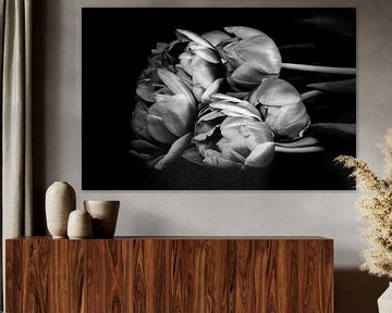 tulpen in zwartwit van Pictures by Van Haestregt