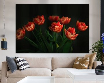 Tulpen in Farbe von Pictures by Van Haestregt