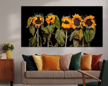 Vijf zonnebloemen van Toon de Vos