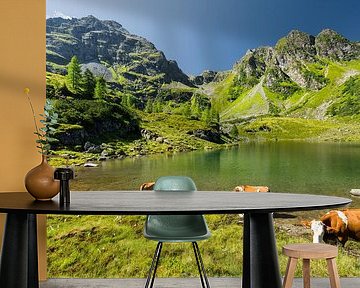 Schladminger Tauern II by Rainer Mirau