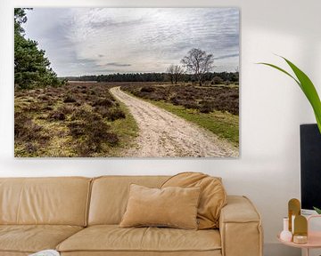 Een onverharde weg op een Veluws landschap in maart van John Duurkoop