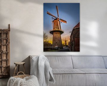 Windmill 'De vrijheid' and 'De Noormolen' in the background by Luc V. de Zeeuw