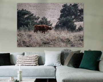 Wandelaar van de Heide - Schotse Hooglander in Rustiek Landschap van Femke Ketelaar