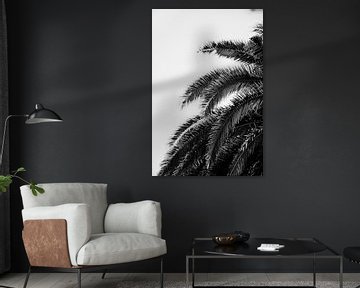 Details van een palmboom zwart wit van Marit Hilarius