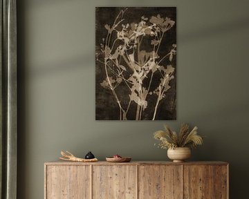 Flowers in retro style. Botanical art in warm dark brown and white by Dina Dankers