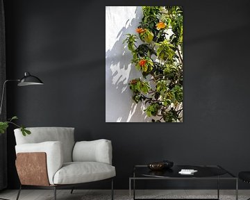 Flowers in Lanzarote by Esma Vurgun