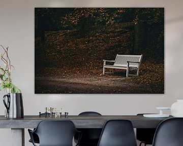 Banc en forêt
