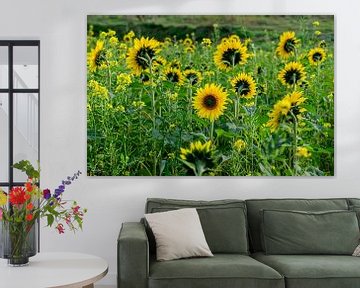 Sunflowers by Thea Luthart