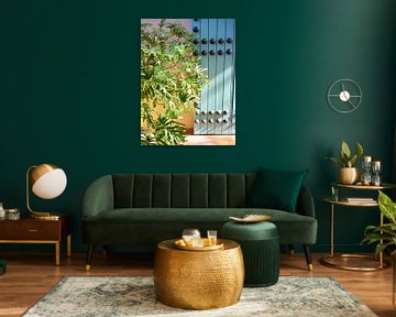 Moroccan door with plant by Judith van Wijk