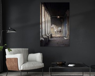 Cheval blanc dans la colonnade|carreaux bleus | photographie de cheval | Portugal sur Laura Dijkslag