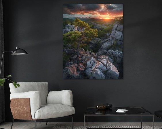 Aperçu de la chambre