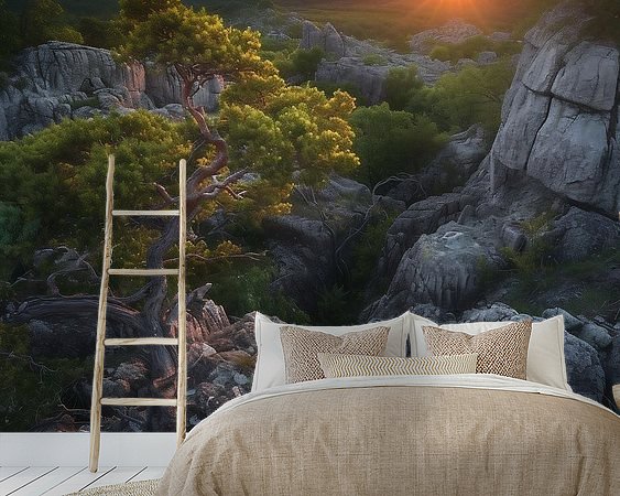 Aperçu de la chambre