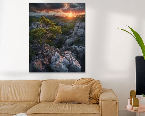 Aperçu de la chambre