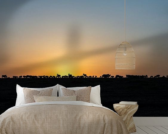 Aperçu de la chambre