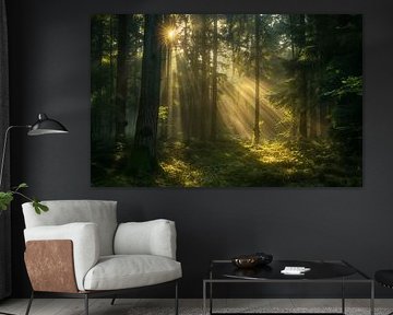 Sonnenaufgangszauber im Laubwald