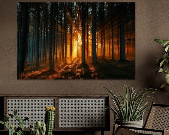 Voorbeeld van het werk in een kamer