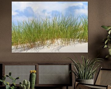 Fresh green grass in the summer wind on a dune by Reiner Würz / RWFotoArt