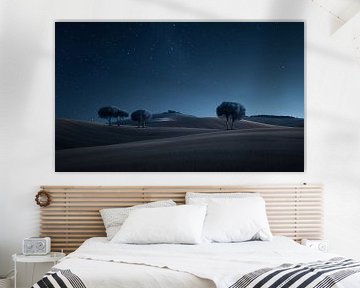 Woestijnboom in het maanlicht van fernlichtsicht