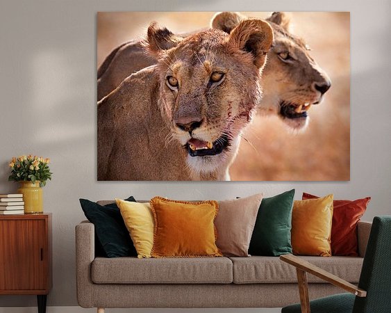 Aperçu de la chambre