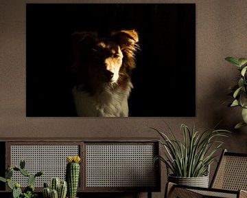 Hond in schaduw van Melany Lampe