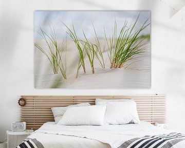 Herbes marines dans le sable blanc de Norderney