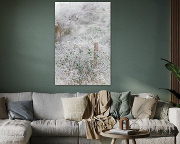 Wintry white picture with frozen leaves by Frans Scherpenisse