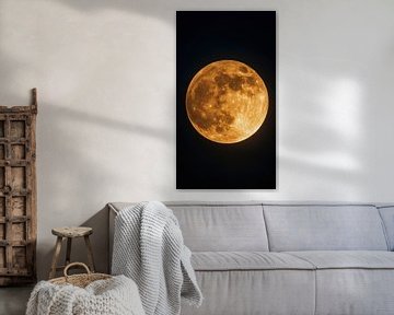 Goldener Mondflug von Maarten Knops